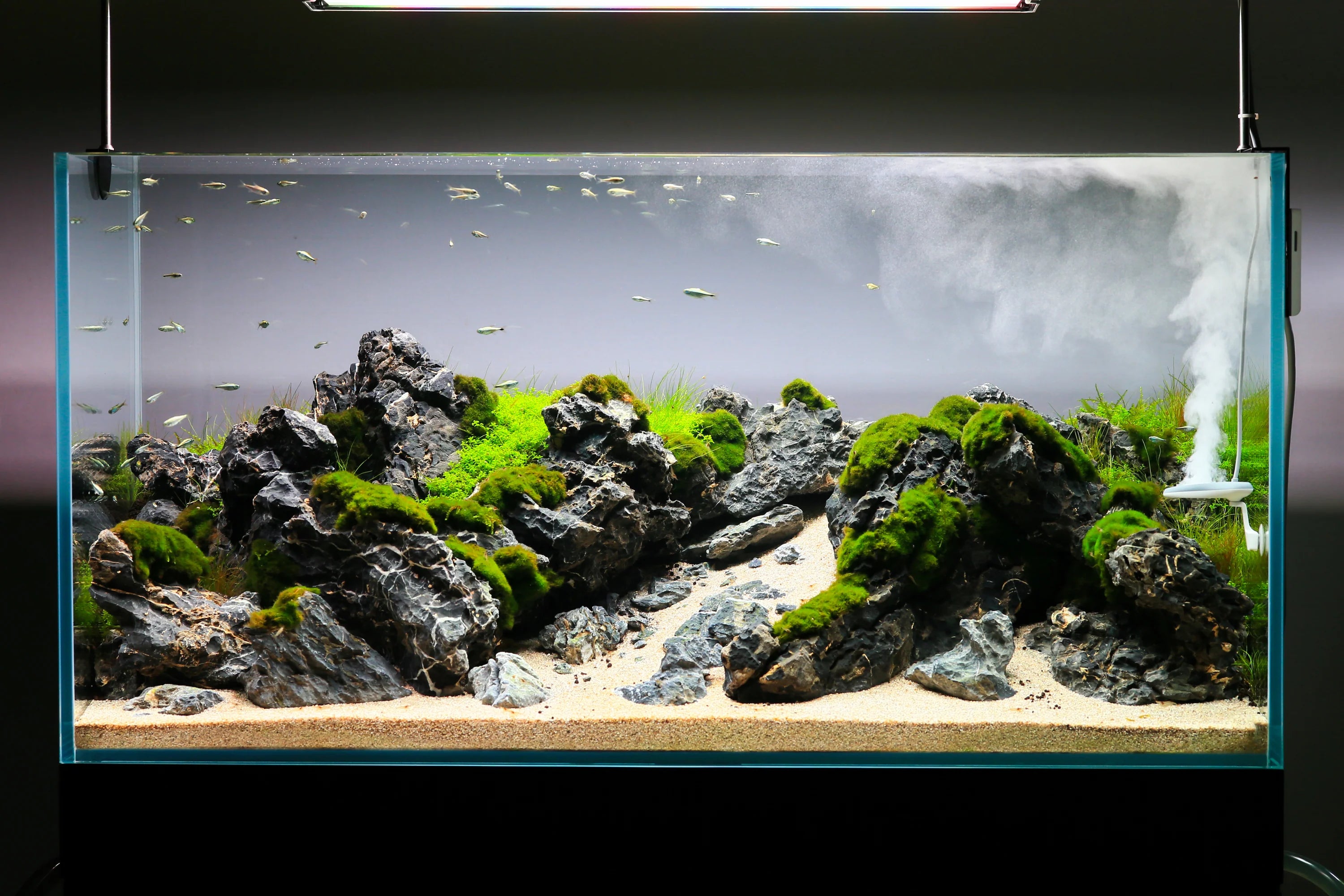 Twinstar Nano+ steriliser upto 250L