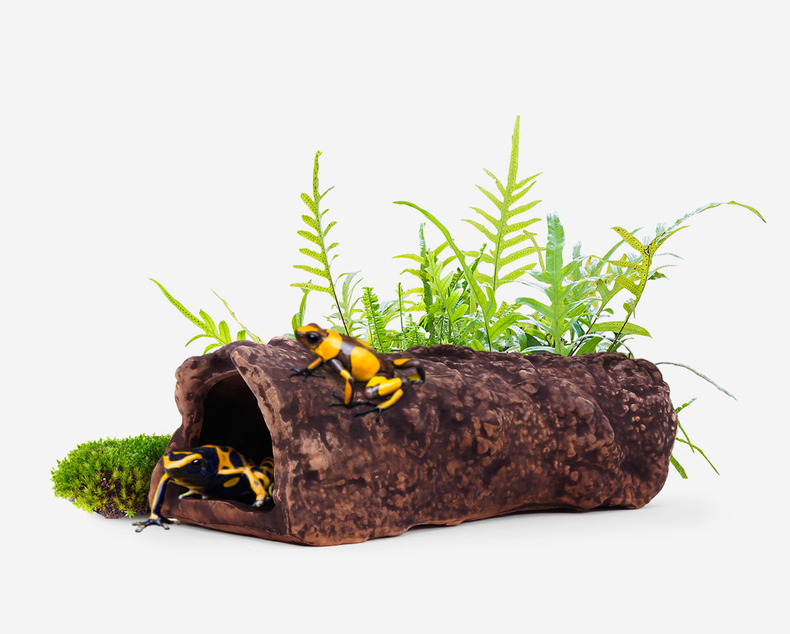 Aquavitro Ceramic Hide 22Cm Wirral Aquatics