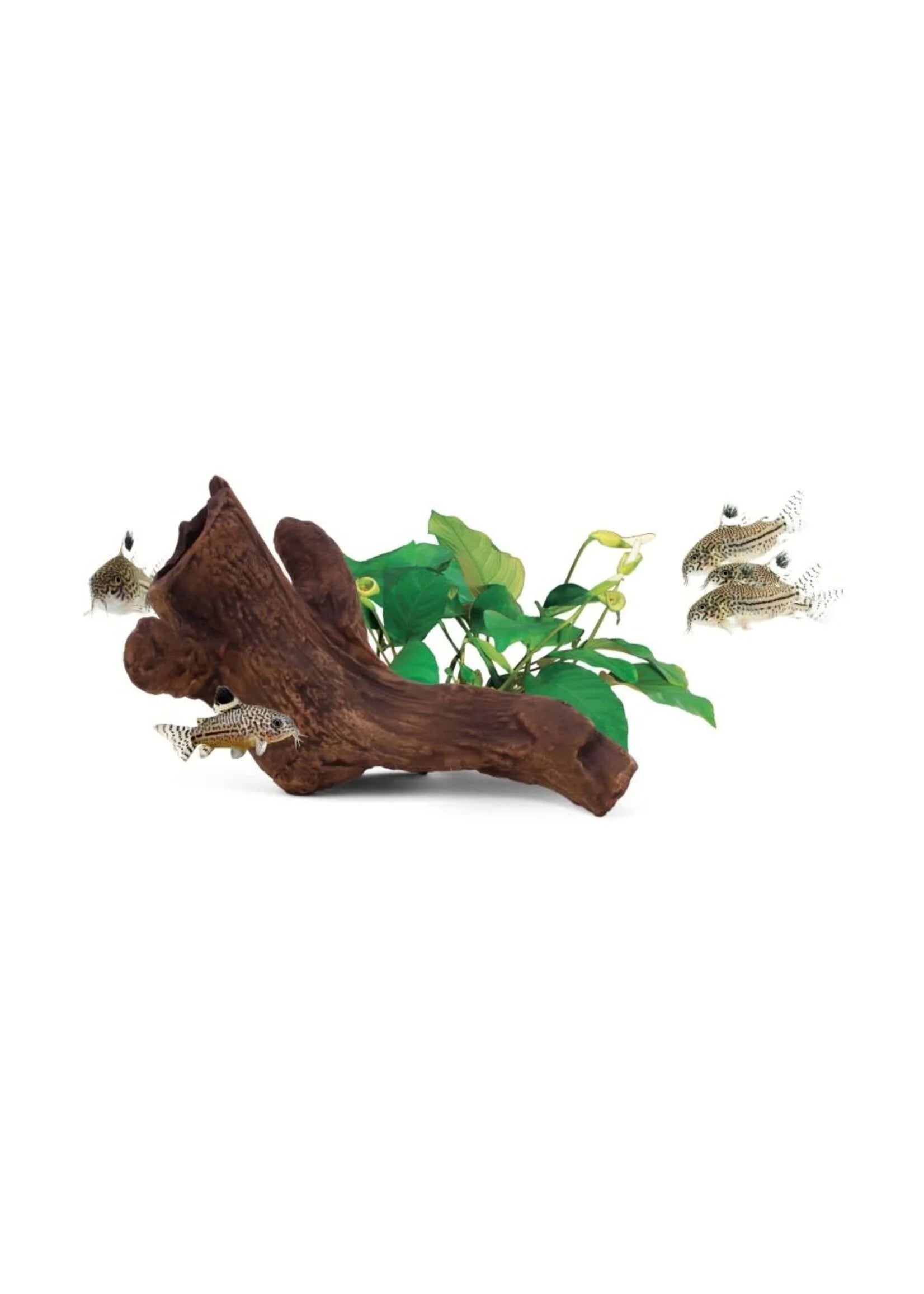 Aquavitro Ceramic Hide 22Cm Wirral Aquatics