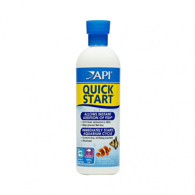 Api Quick Start