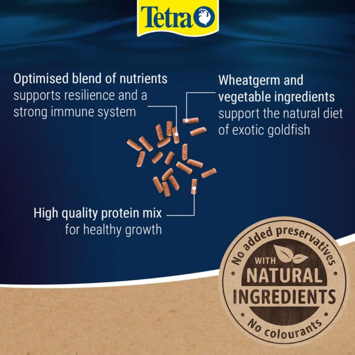Tetra Goldfish Gold Japan