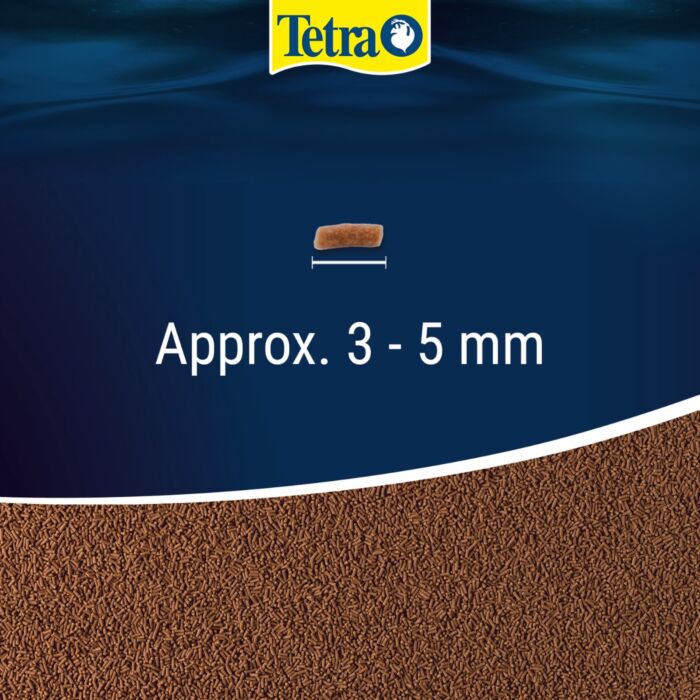 Tetra Goldfish Gold Japan