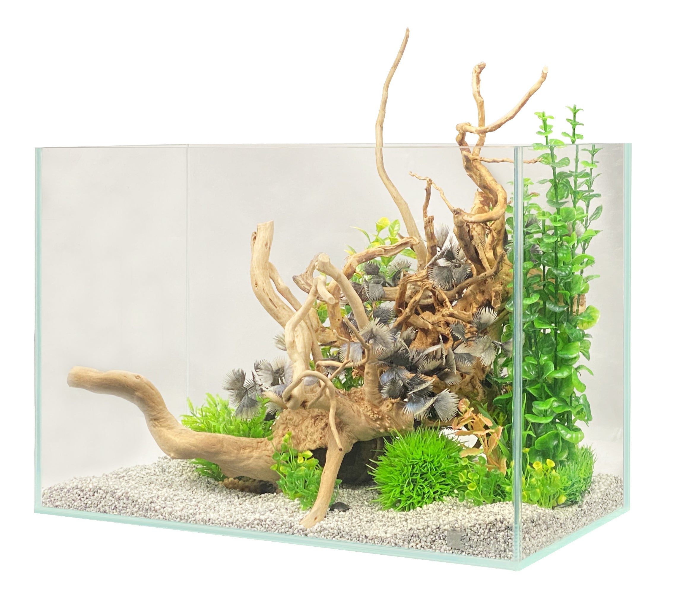 Aqua One Opti Scape Aquarium Wirral Aquatics