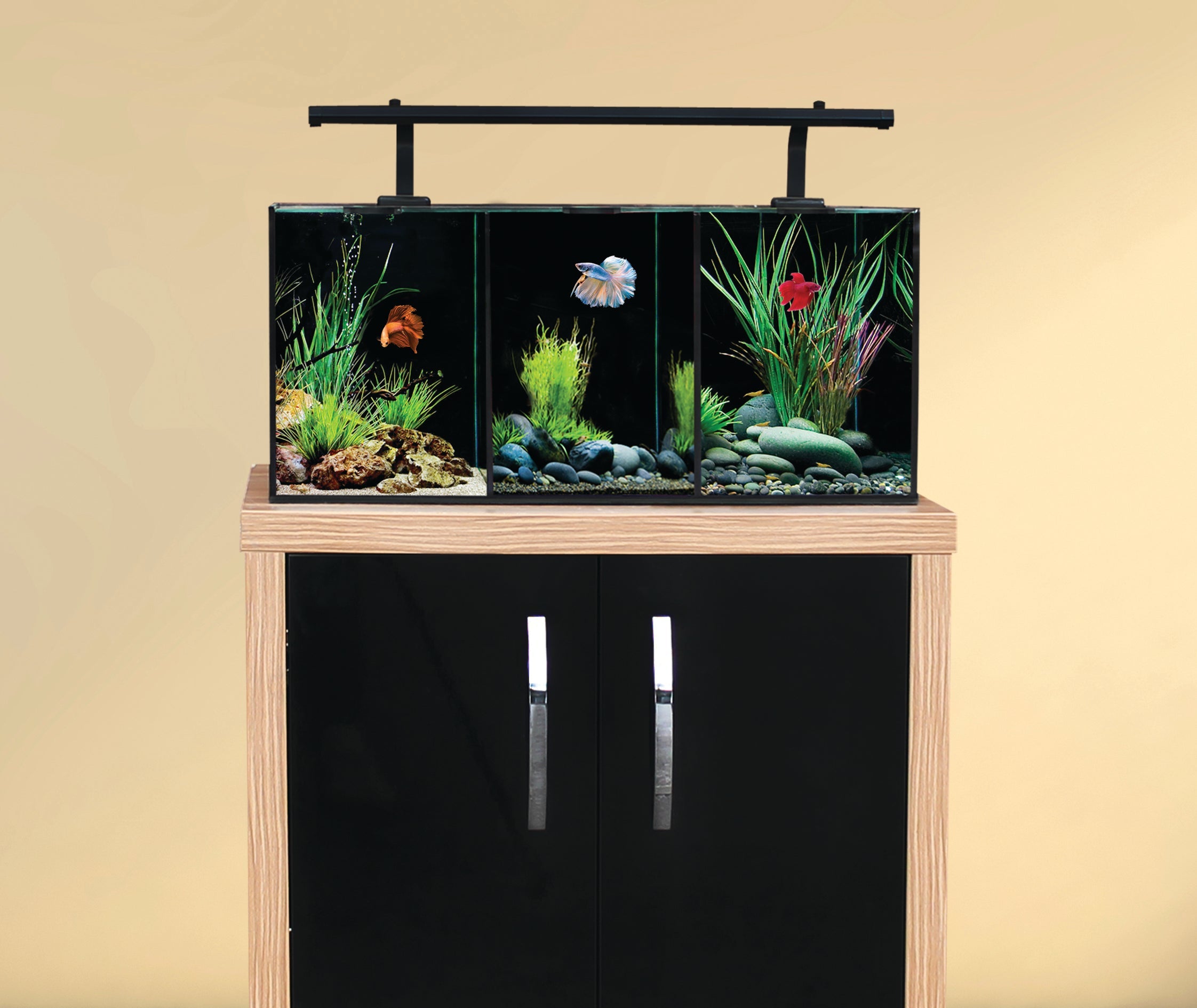 Aqua One Betta Duo, Trio, Quad Aquarium Wirral Aquatics