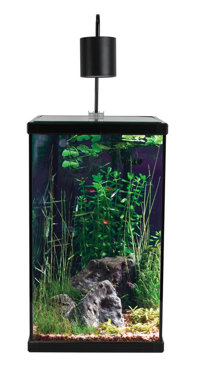 Aqua One Dynamic 58 Aquarium Wirral Aquatics