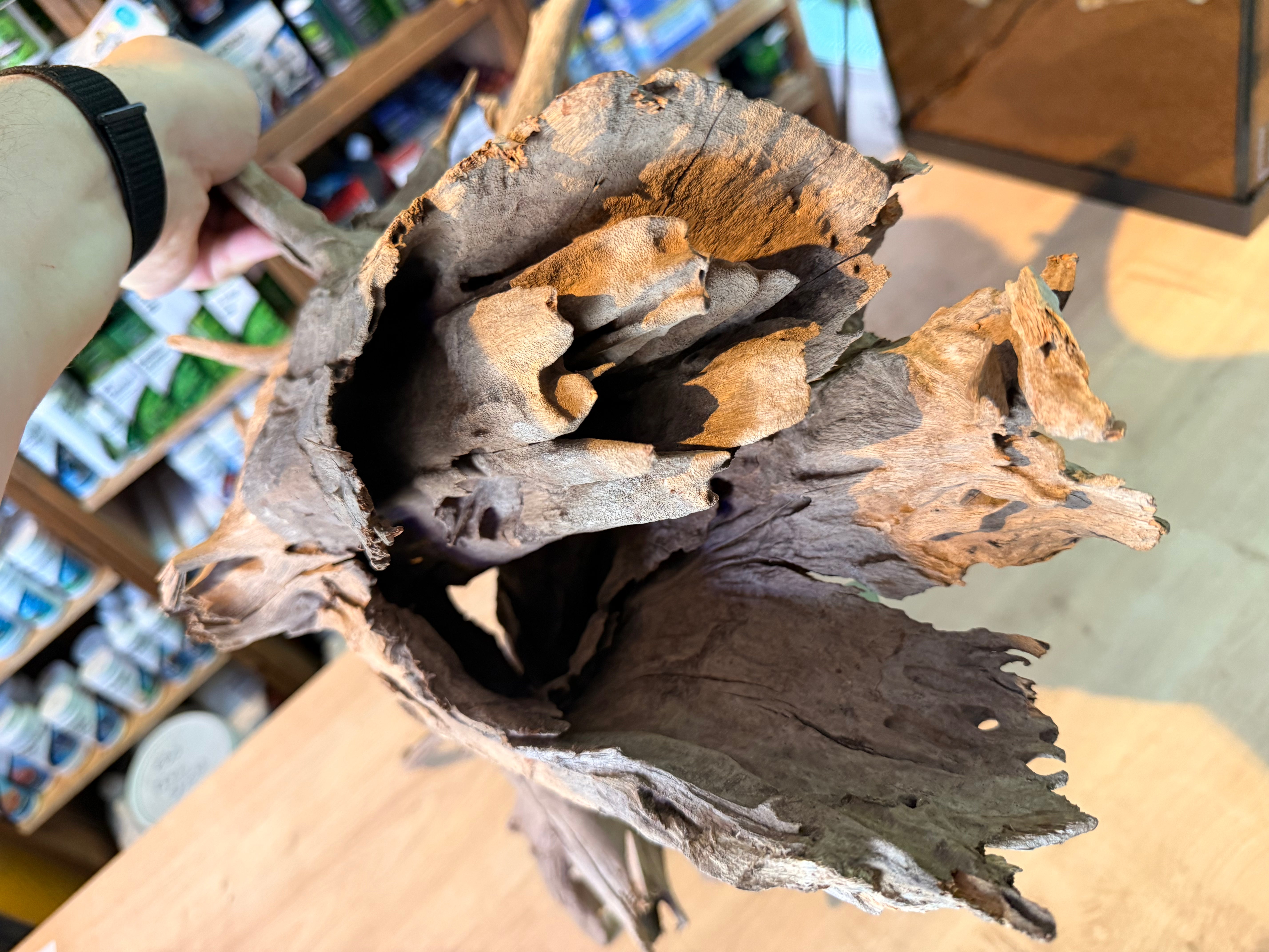 Corbo Catfish Root Wood 30-40cm 2