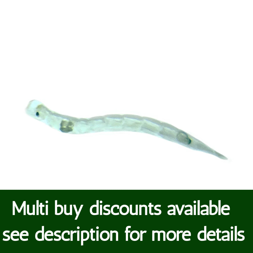 Live Glassworm