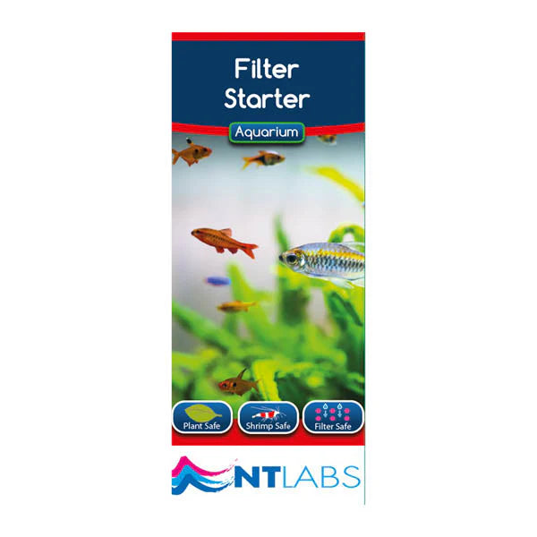 NTLabs Filter Starter 100ml