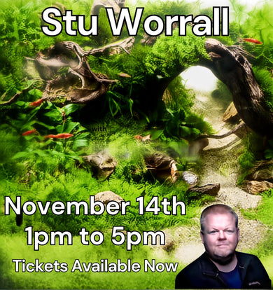 Stuart Worrall Aquascape Workshop 14th November 2026