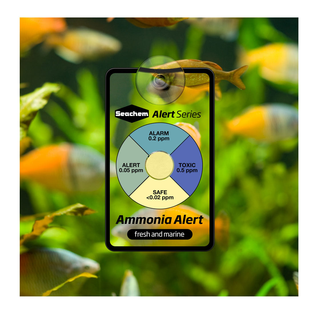 Seachem Ammonia Alert Wirral Aquatics