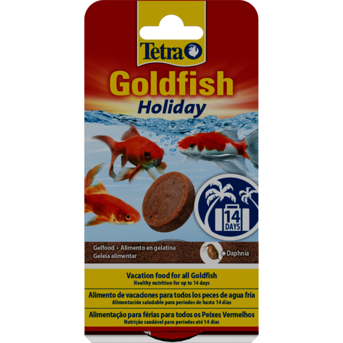 Tetra Goldfish Holiday