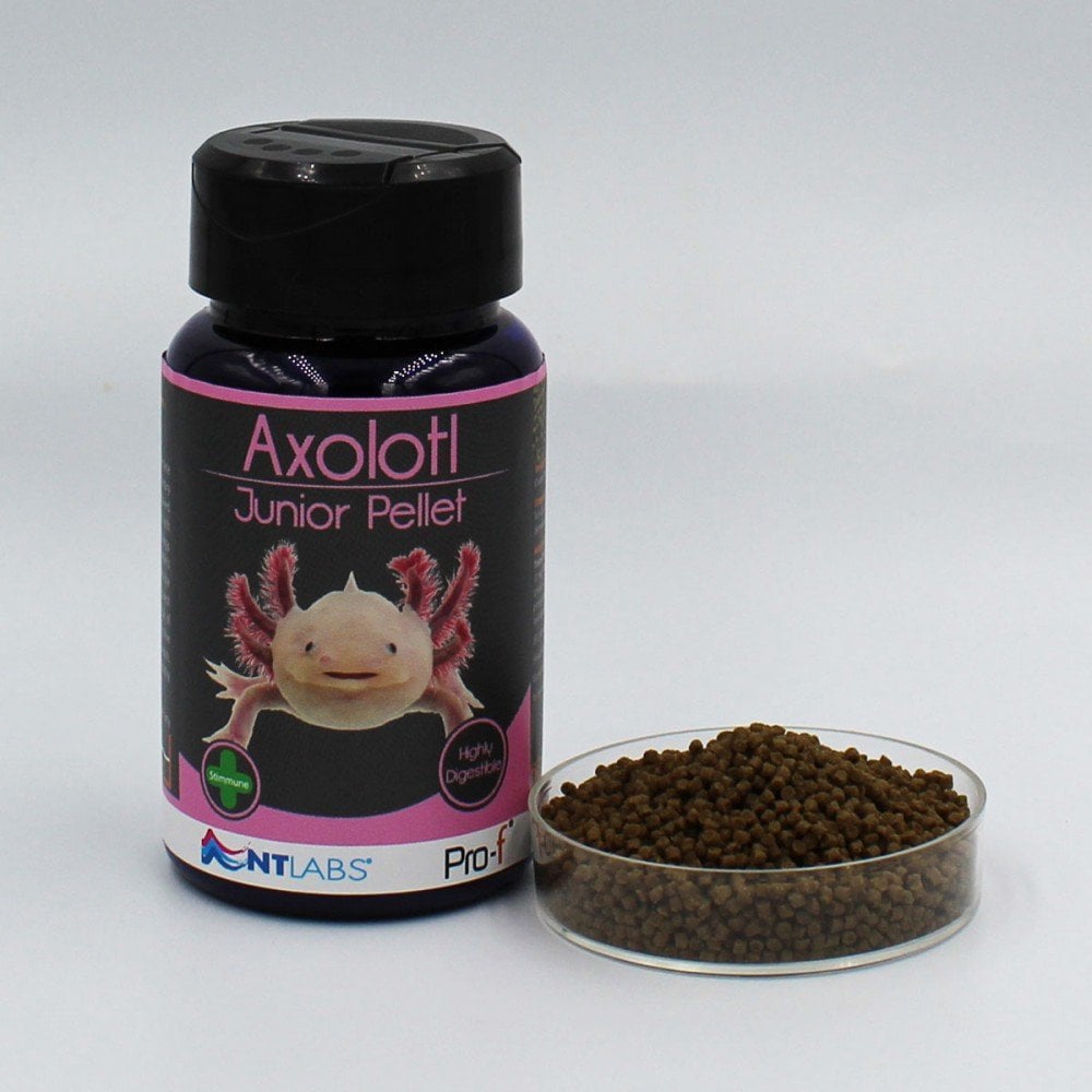 Axolotl Junior Pellett Wirral Aquatics