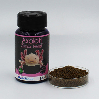 Axolotl Junior Pellett Wirral Aquatics