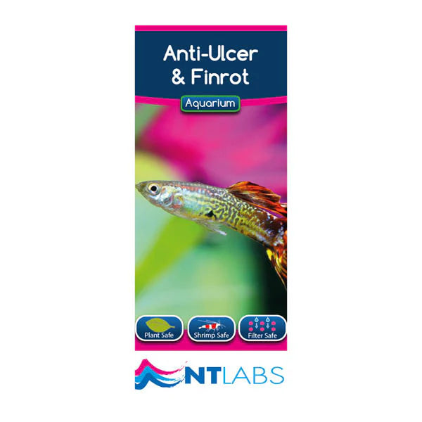 NTLabs Aquarium Anti-Ulcer & Finrot 100ml