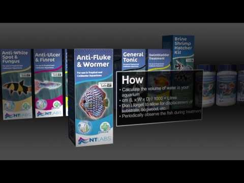 NTLabs Aquarium Anti-Fluke & Wormer 20ml