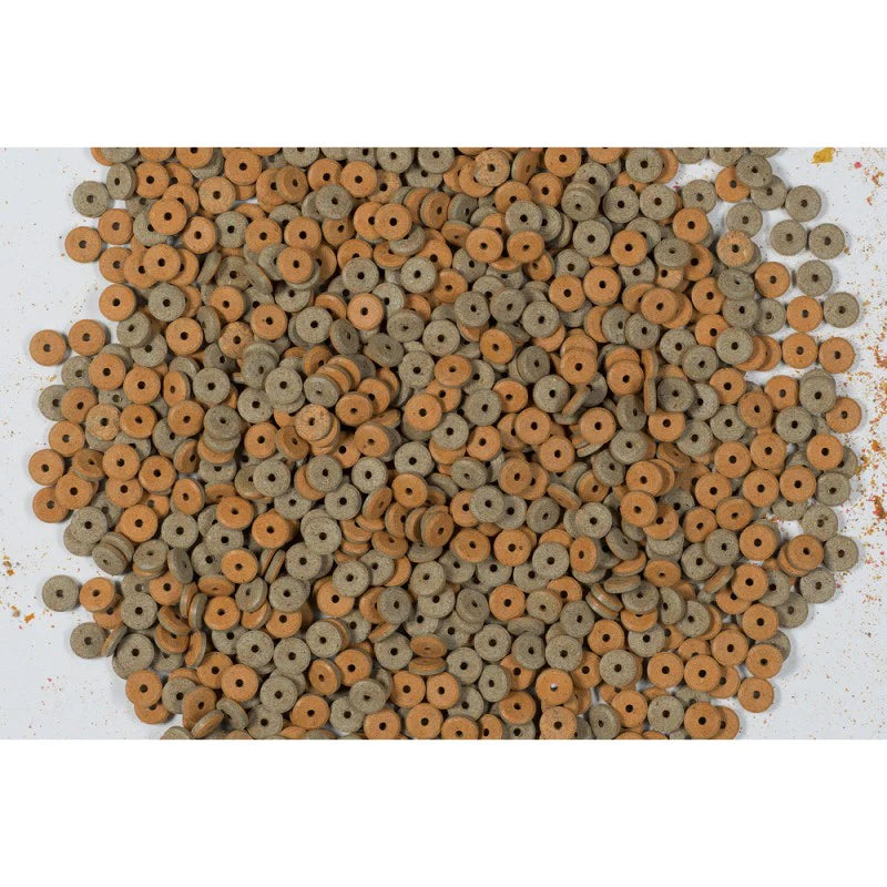 Tetra Fun Tips Tablets