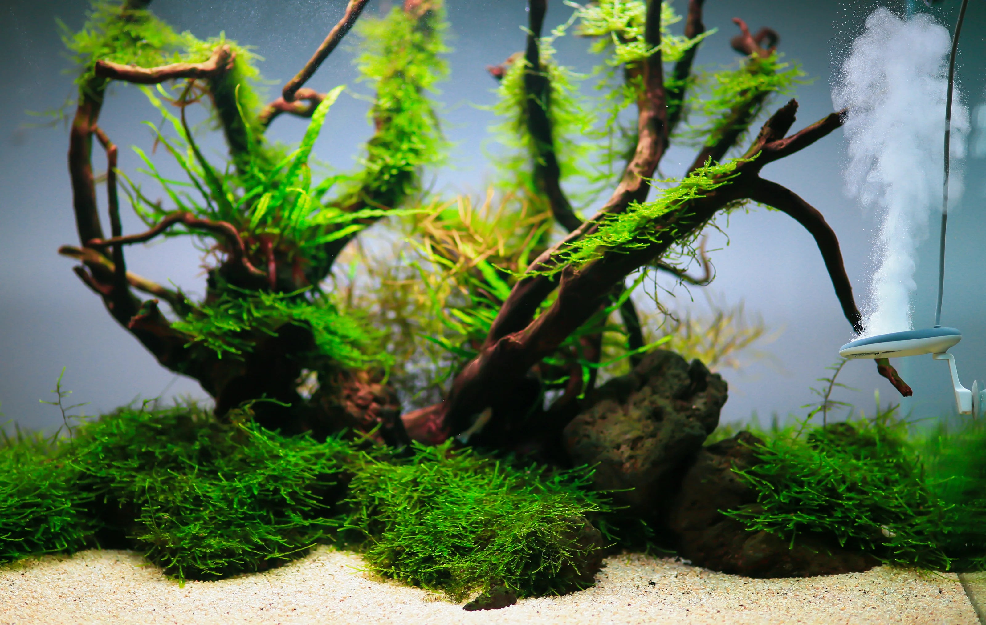 Twinstar Nano+ steriliser upto 250L
