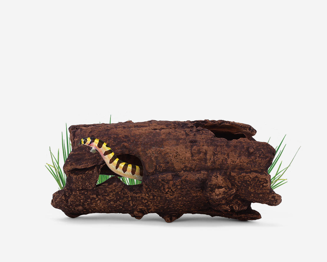 Aquavitro Ceramic Hide 22Cm Wirral Aquatics