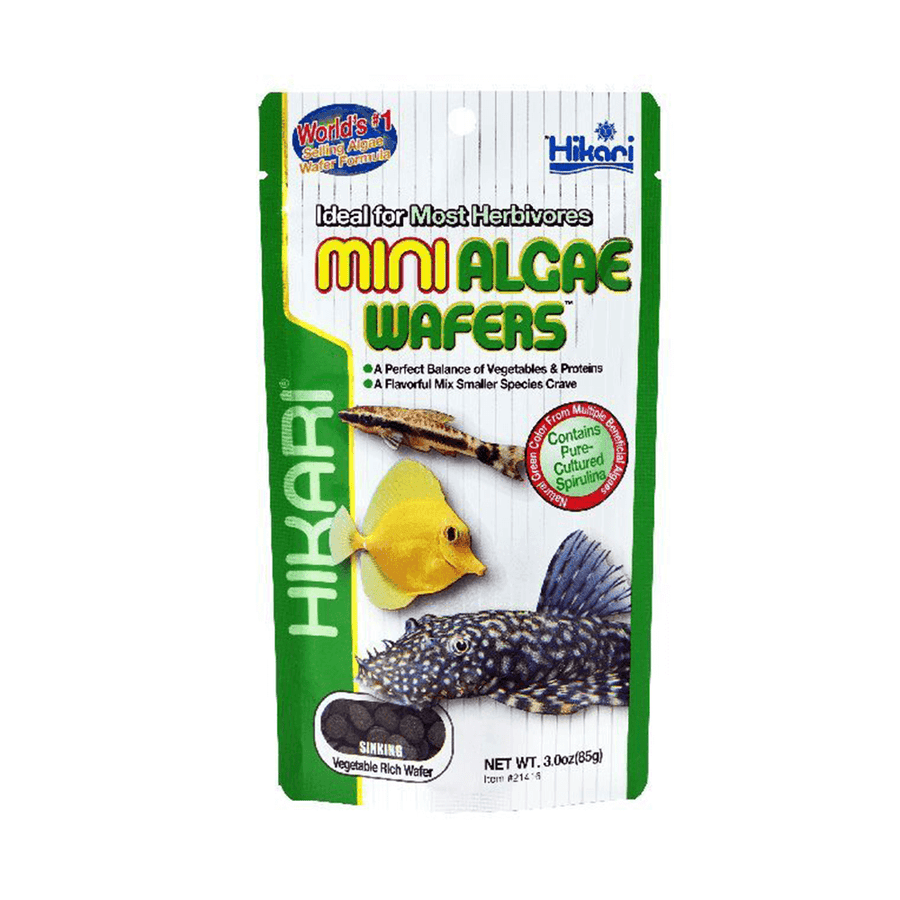 Hikari Mini Algae Wafers