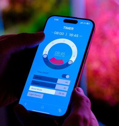 Twinstar Light E Line Pro