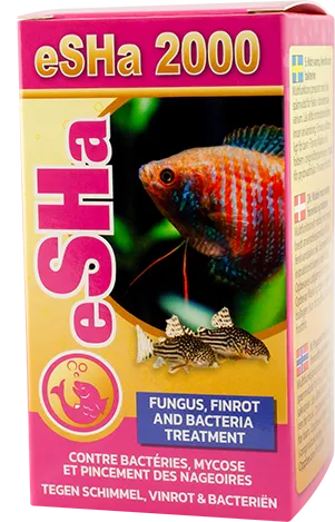 Esha 2000 Wirral Aquatics