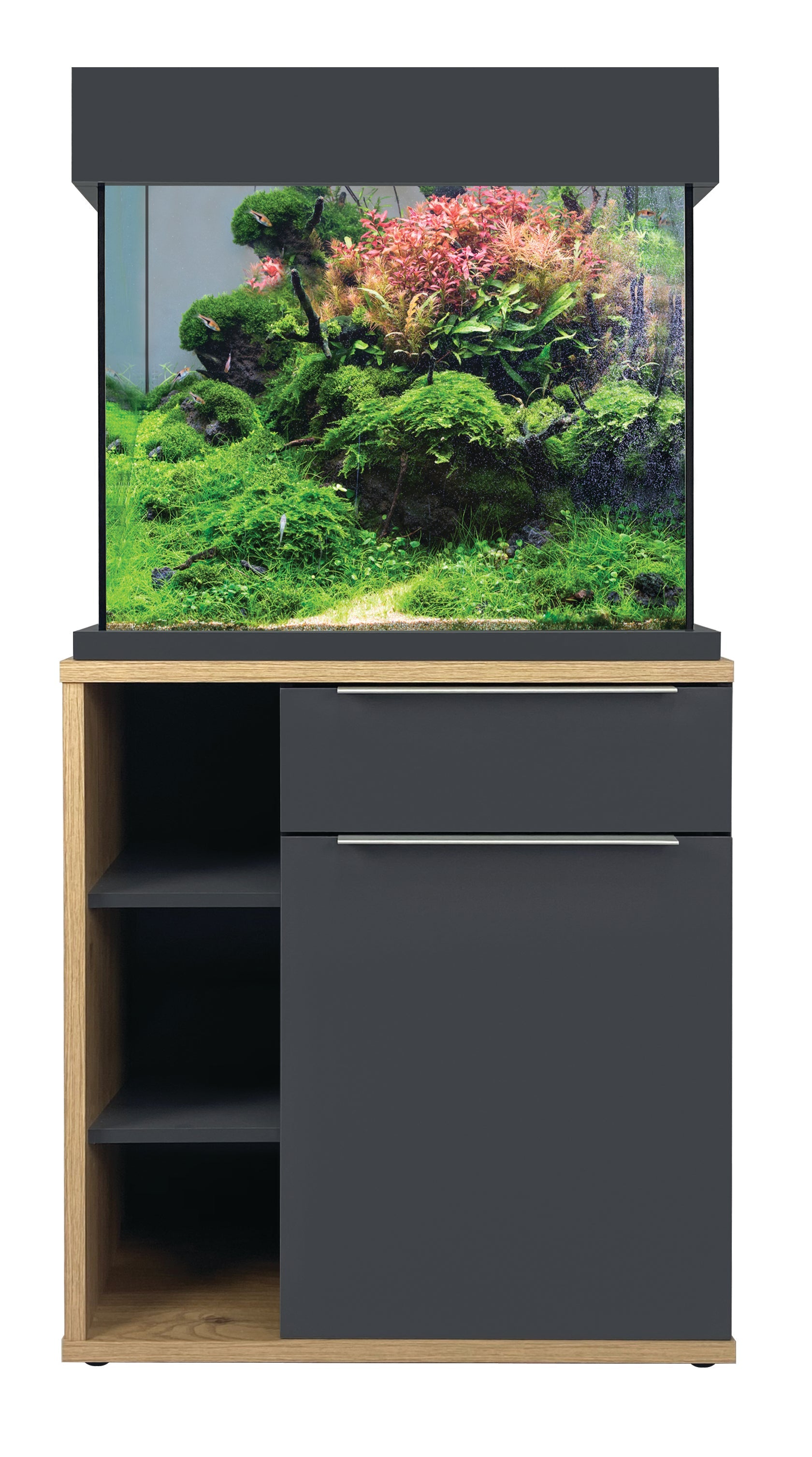 Aqua One OakStyle Tank 110L Wirral Aquatics