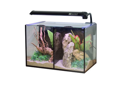 Aqua One Betta Duo, Trio, Quad Aquarium Wirral Aquatics