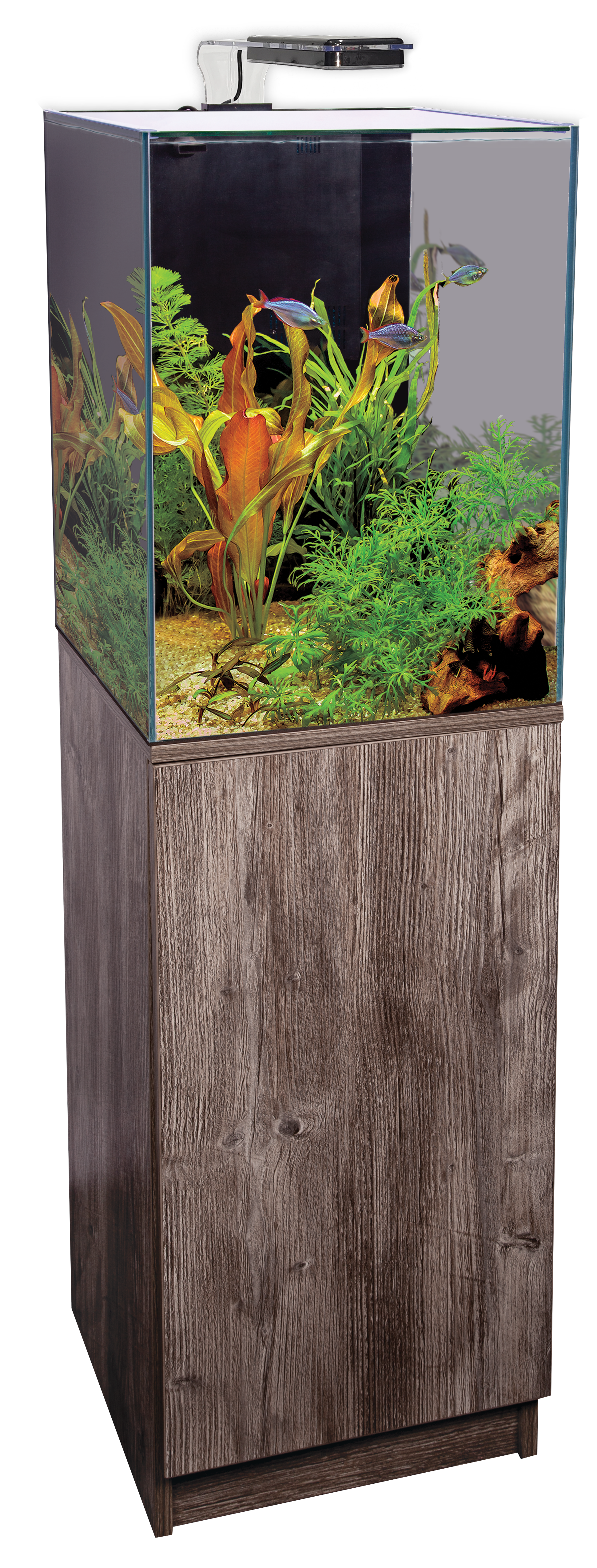 Aqua One Dynamic 55 Aquarium Wirral Aquatics
