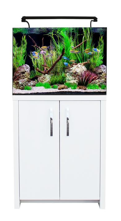 Aqua One AquaNano Aquarium Wirral Aquatics