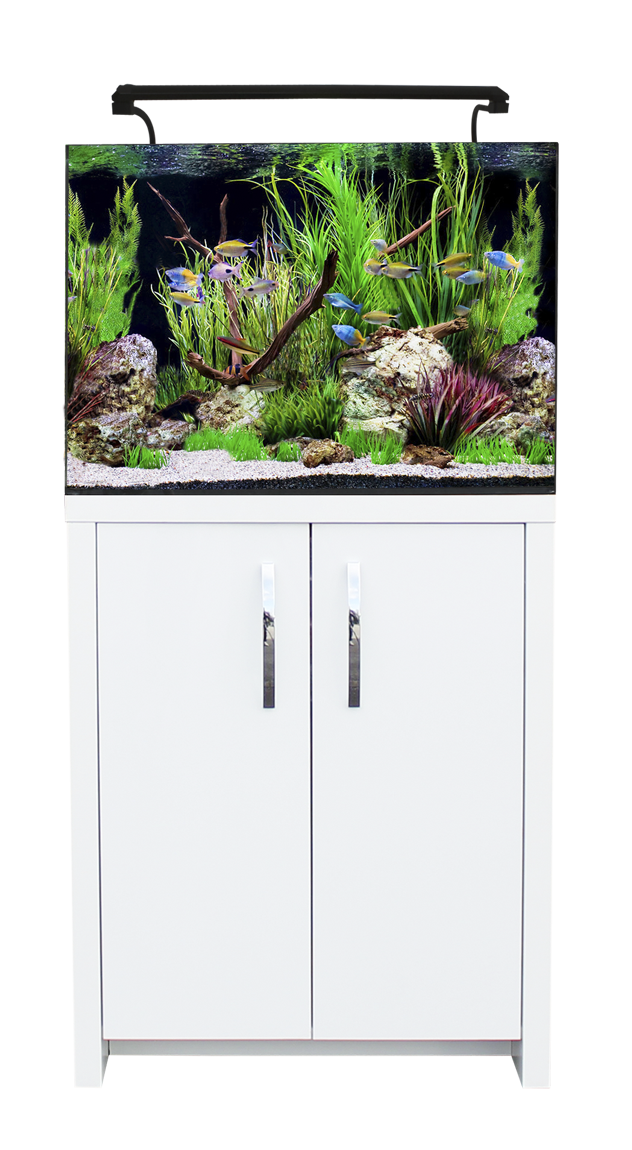 Aqua One AquaNano Aquarium Wirral Aquatics