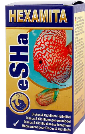 Esha Hexamita Wirral Aquatics