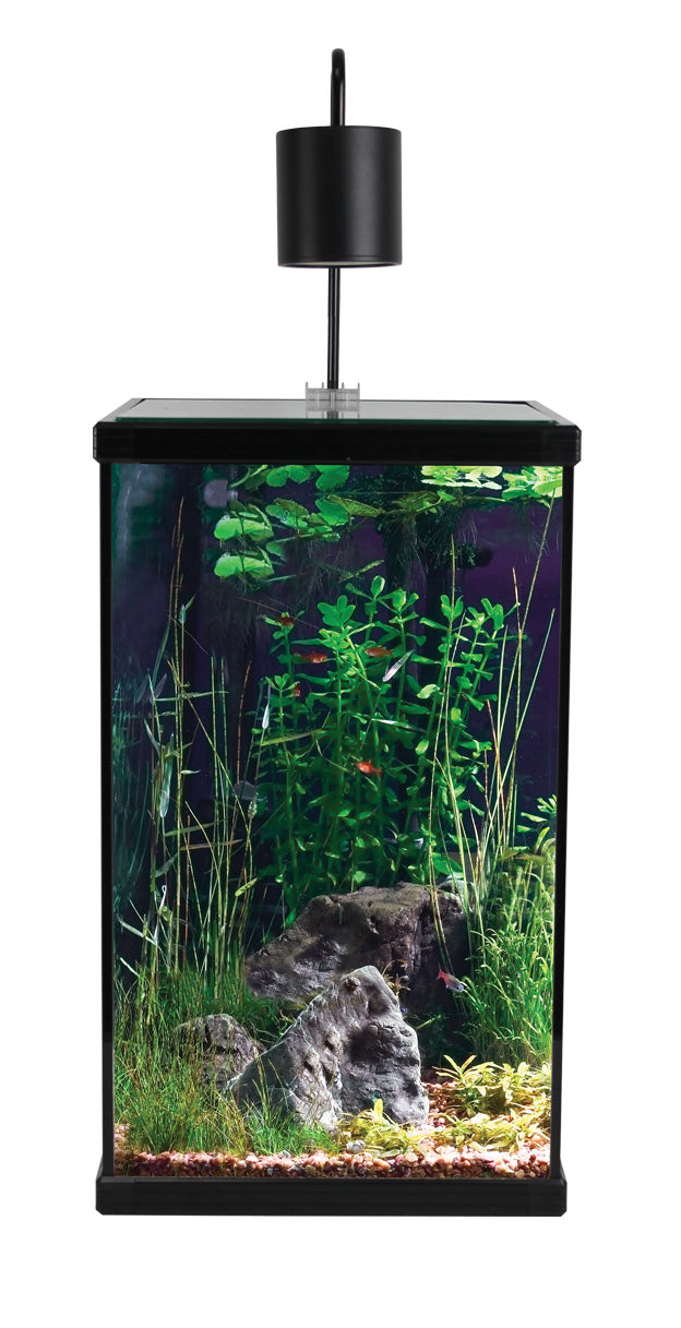 Aqua One Dynamic 58 Aquarium Wirral Aquatics