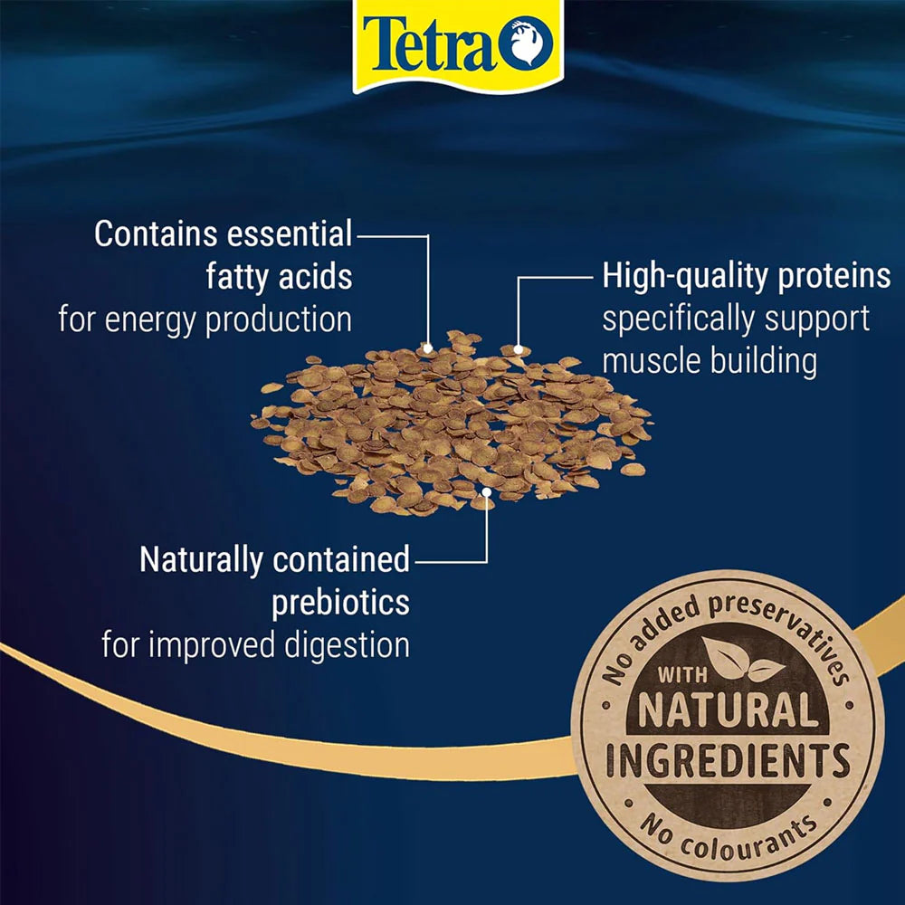 Tetra Pro Energy