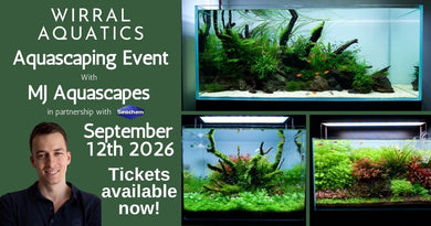 MJ Aquascape Workshop 12th September 2026