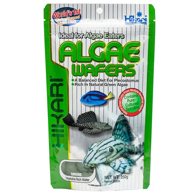 Hikari Algae Wafers