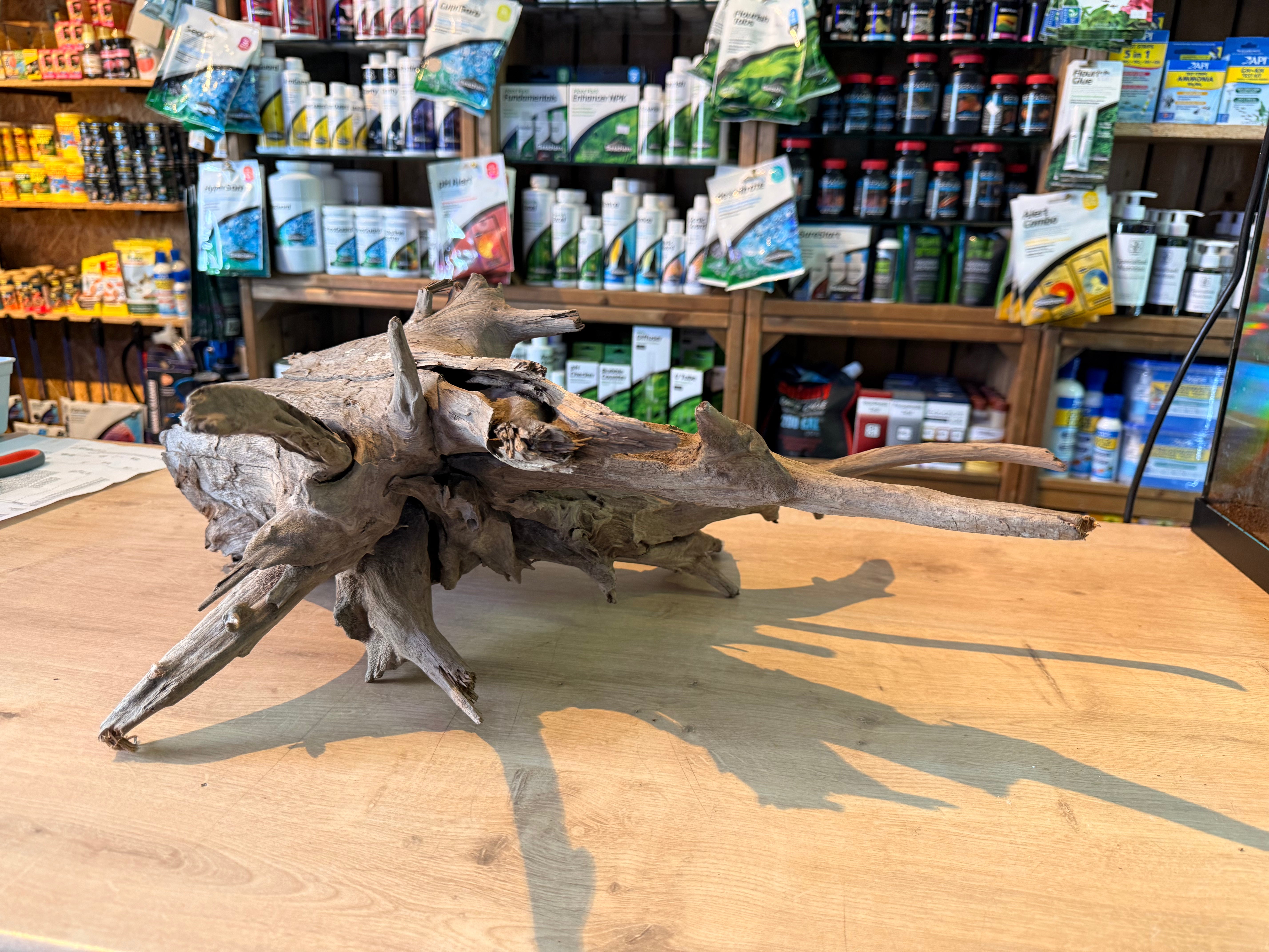 Corbo Catfish Root Wood 30-40cm 2