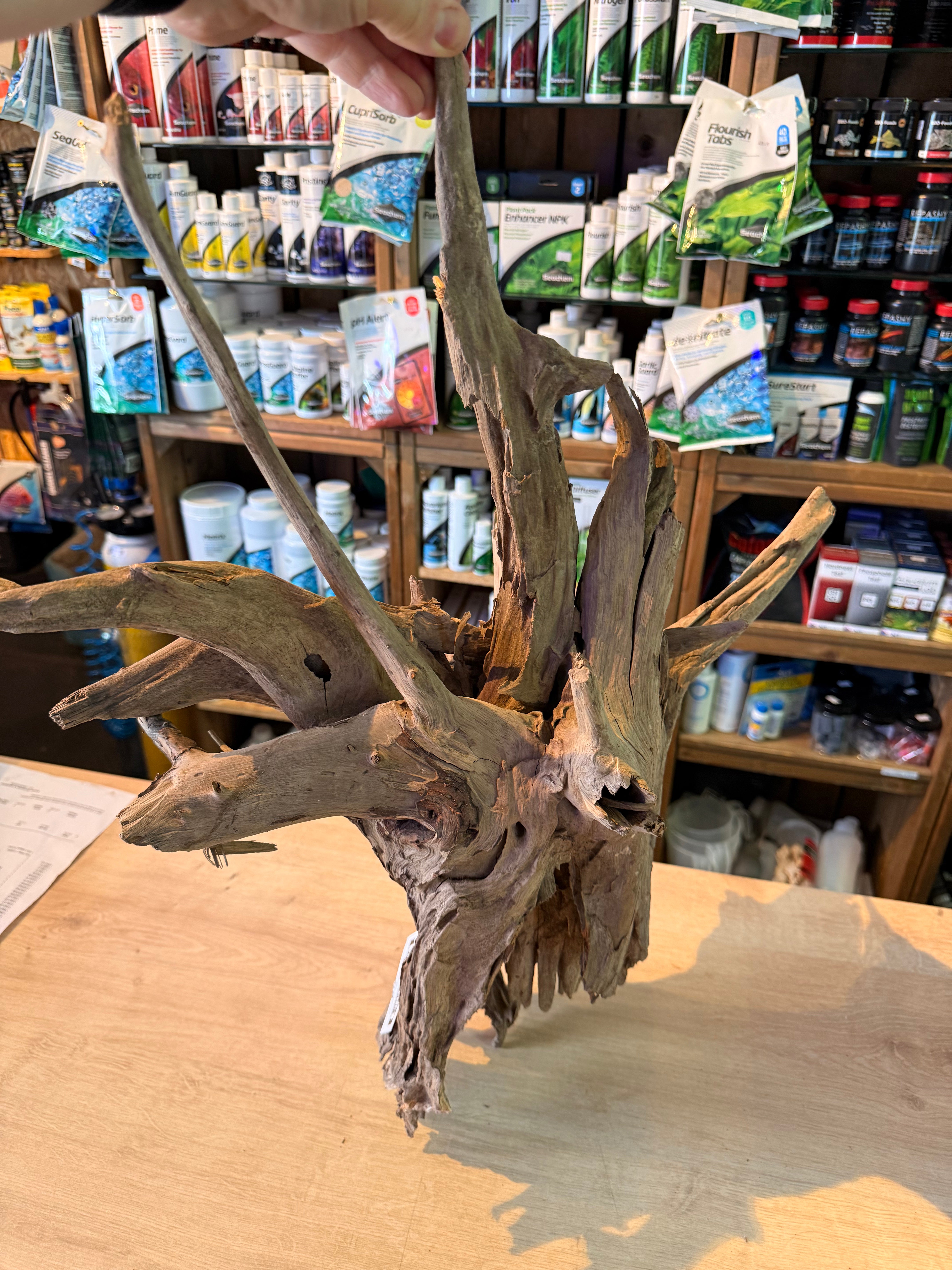 Corbo Catfish Root Wood 30-40cm 2