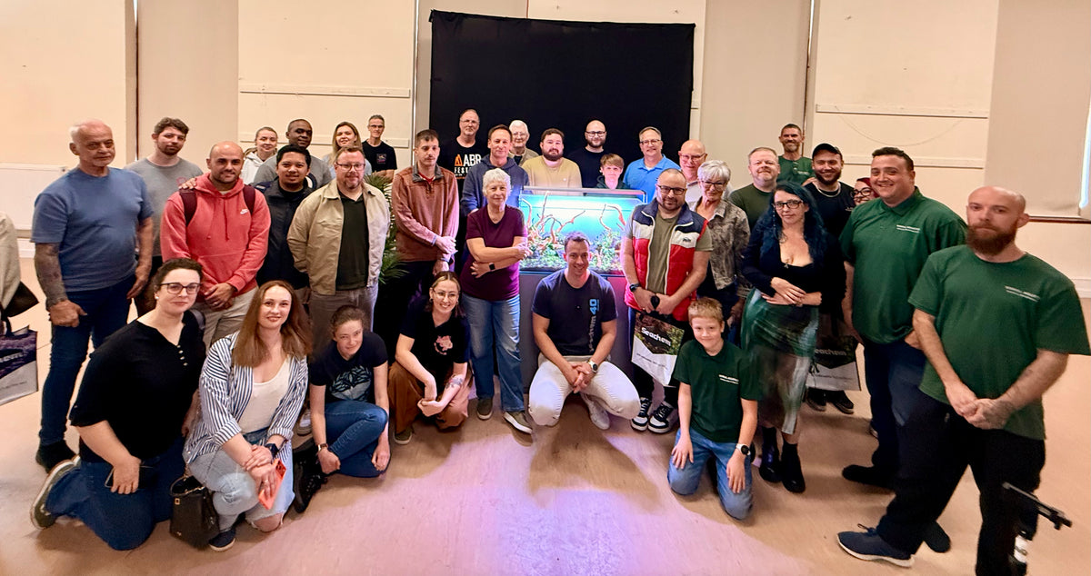 MJ Aquascaping Masterclass