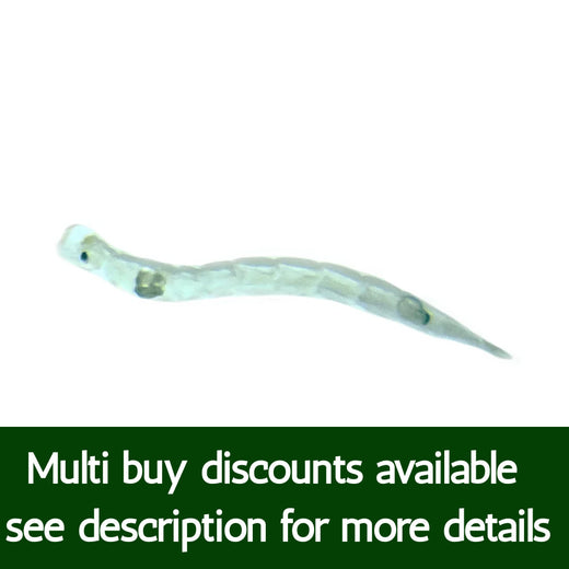 Live Glassworm