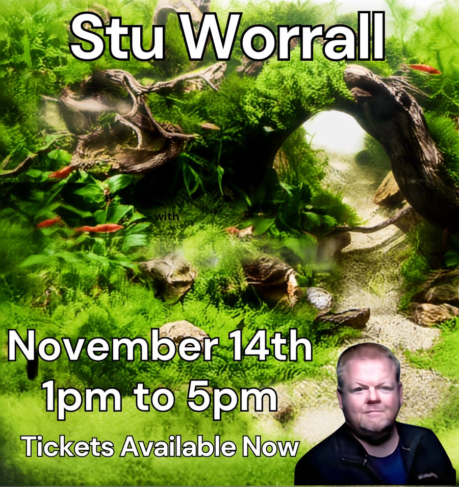 Stuart Worrall Aquascape Workshop 14th November 2026