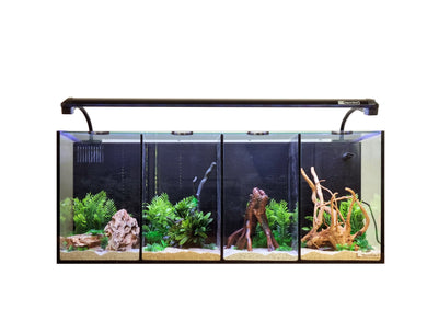 Aqua One Betta Duo, Trio, Quad Aquarium Wirral Aquatics