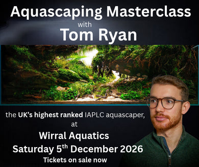 Tom Ryan Aquascaping Event December 5th 2026