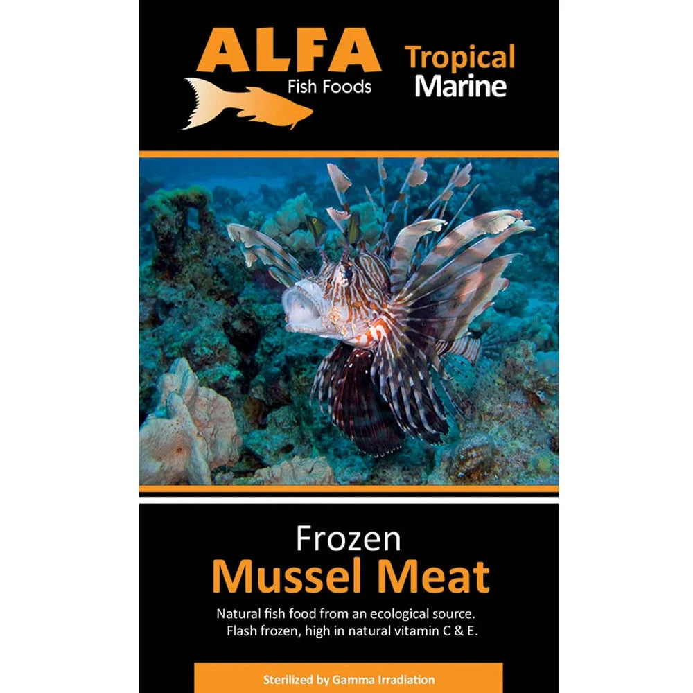 Alfa Frozen Mussel Meat
