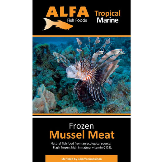 Alfa Frozen Mussel Meat