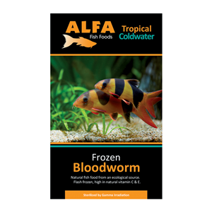 ALFA Frozen Bloodworm 100g