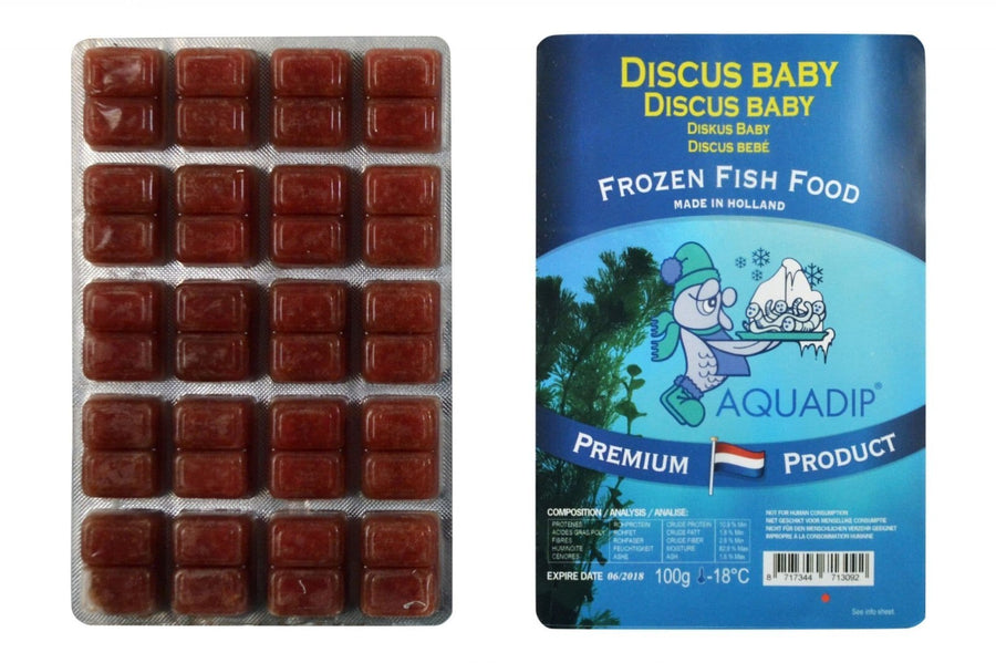 Aquadip Frozen Discus Baby