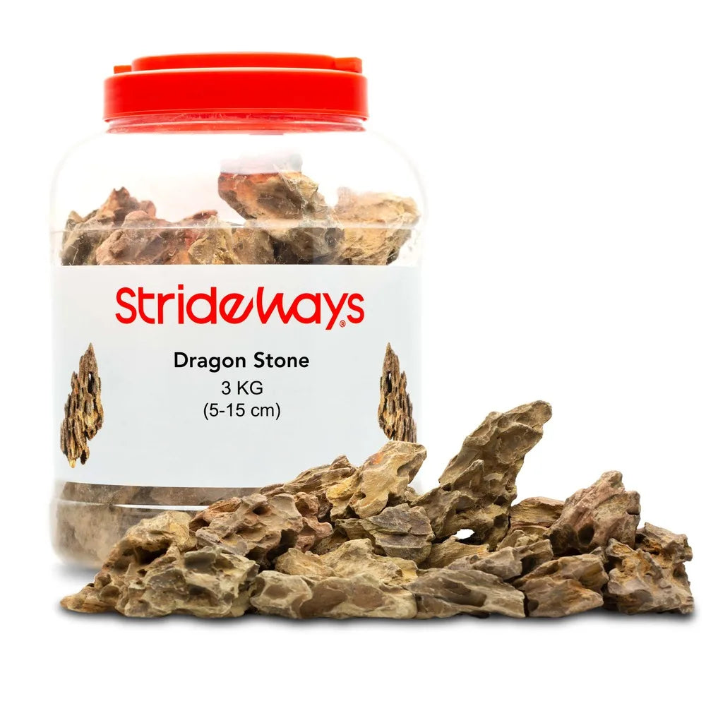 Strideways Dragon Stone Bottle 3kg
