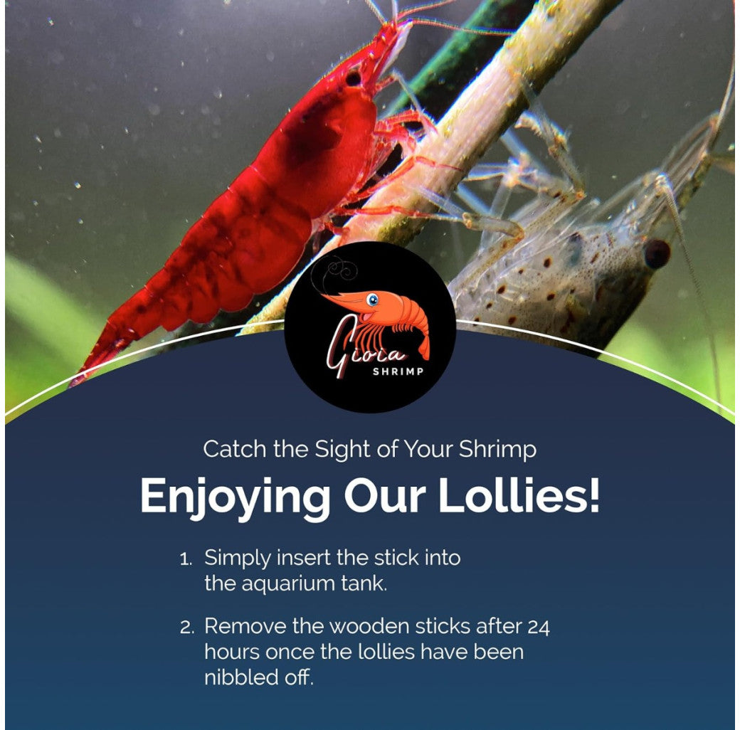 Shrimp Lollies