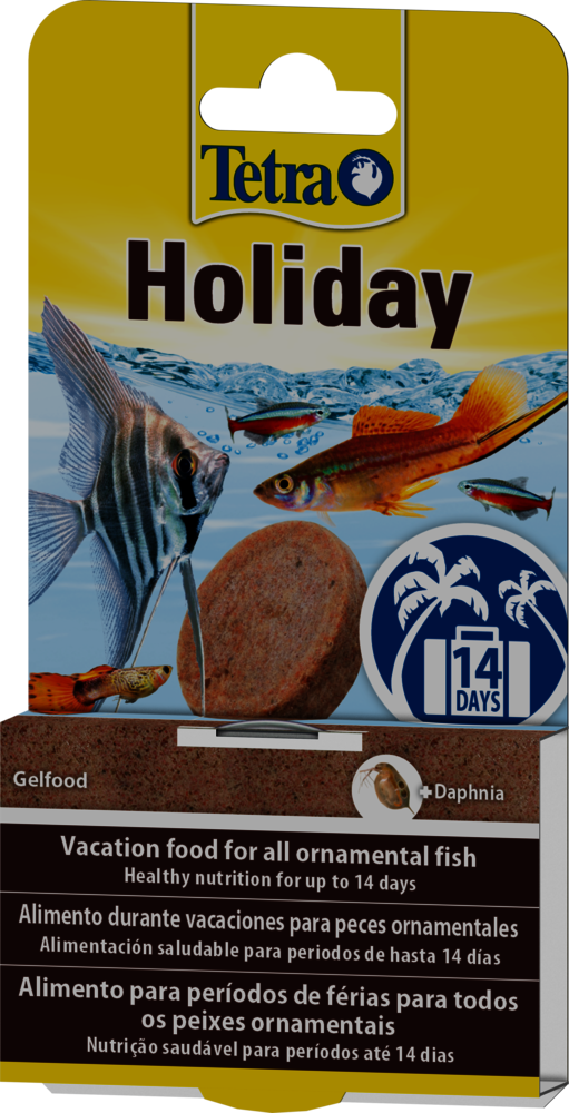 Tetra Holiday