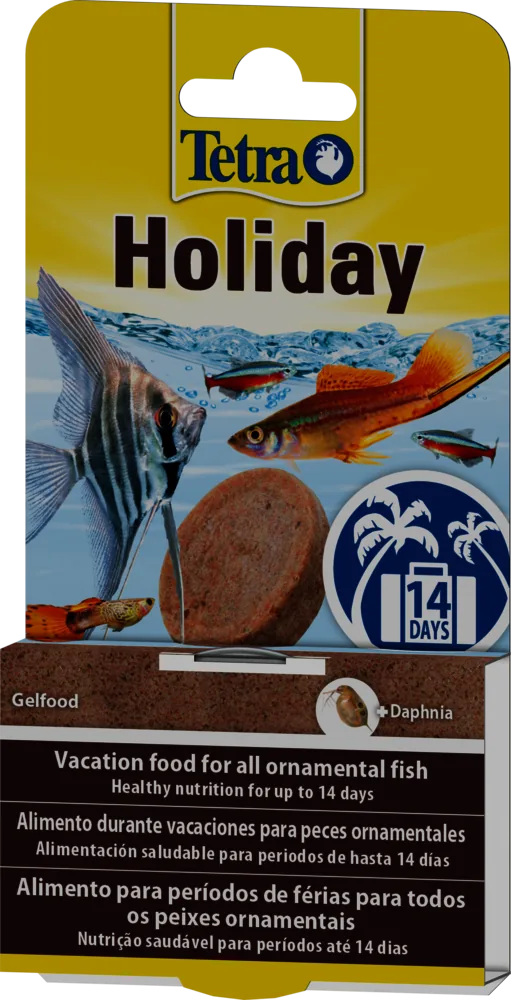 Holiday Foods
